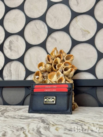 визитници chloe Moncler coach fendi louis vuitton , снимка 15 - Портфейли, портмонета - 51080463