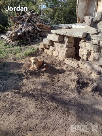 Вьстановяване на стари къщи , снимка 4 - Ремонти на къщи - 47916021