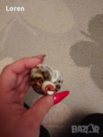 Интересен рапан леопард направен като свирка, снимка 6 - Други - 47967232