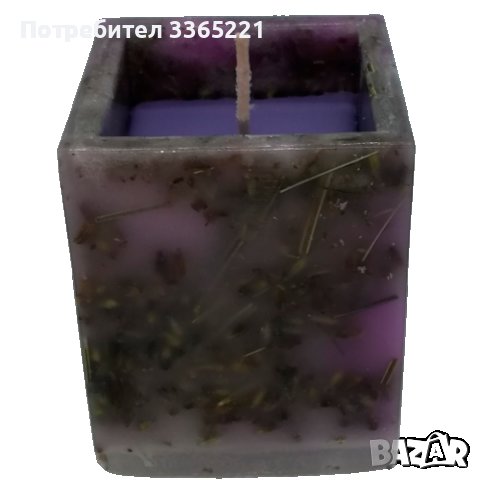 Лавандула свещ