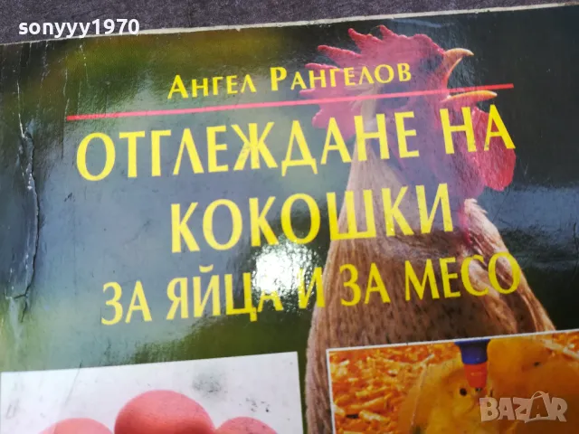 КОКОШКИ 1002250746, снимка 4 - Други - 49049884