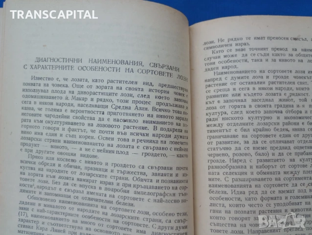 Каталог на сортовите лози в България , снимка 4 - Други ценни предмети - 51338292