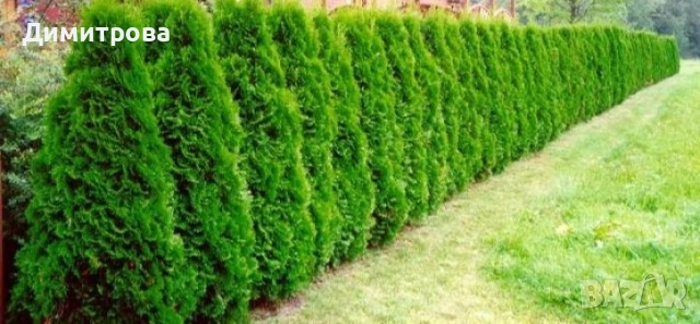 Агро услуги, снимка 2 - Други услуги - 47669322