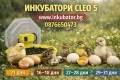 ИНКУБАТОРИ за яйца Клео 5, официален вносител за България, снимка 1