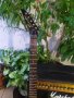 Електрическа китара ARIA PRO II, снимка 3