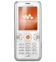 Sony Ericsson W610i панел, снимка 1