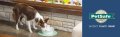 Луксозен керамичен фонтан за кучета и котки PetSafe Drinkwell, снимка 7
