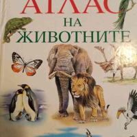 Световен атлас на животните- А. С. Баркова, И. Б. Шустровой, снимка 1 - Енциклопедии, справочници - 44878011