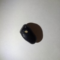 Meteorite , снимка 1 - Колекции - 32516865