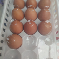 Продавам панер за яйца, снимка 5 - Аксесоари за кухня - 36503349