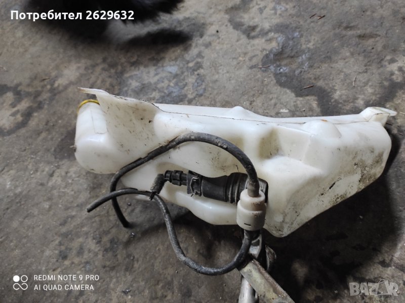 Казанче стъкломиещо, снимка 1