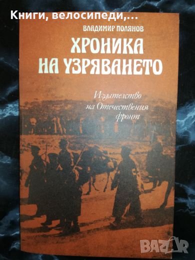 Хроника на узряването - Владимир Полянов, снимка 1