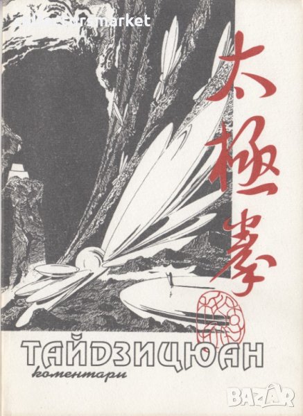 Тайдзицюан. Коментари, снимка 1