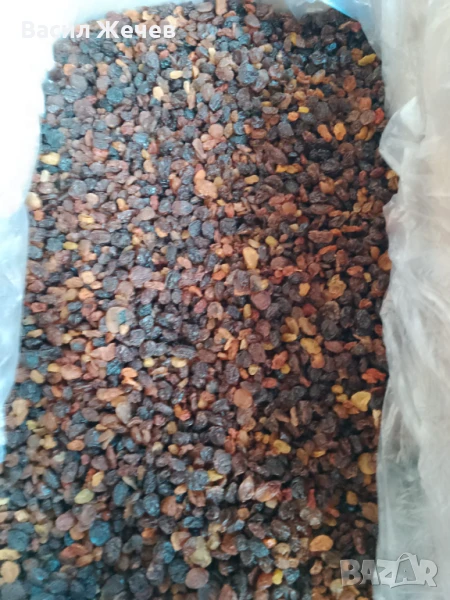 Стафиди подходящи за ракия и други, снимка 1