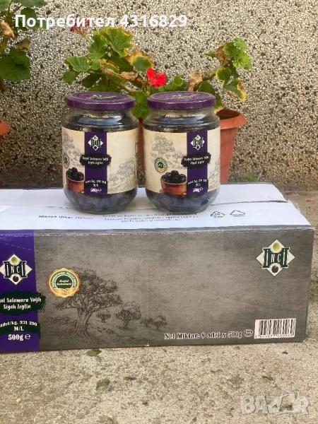 Маслини - INCI, снимка 1