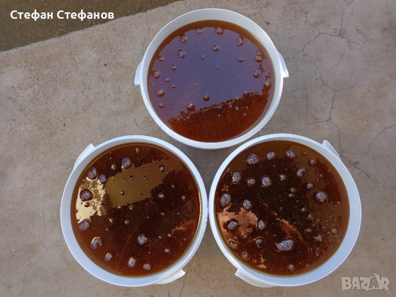 Полифлорен пчелен мед, снимка 1