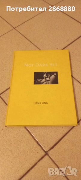 Not dark yet Tiong Ang, снимка 1