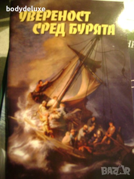 Увереност сред бурята, снимка 1