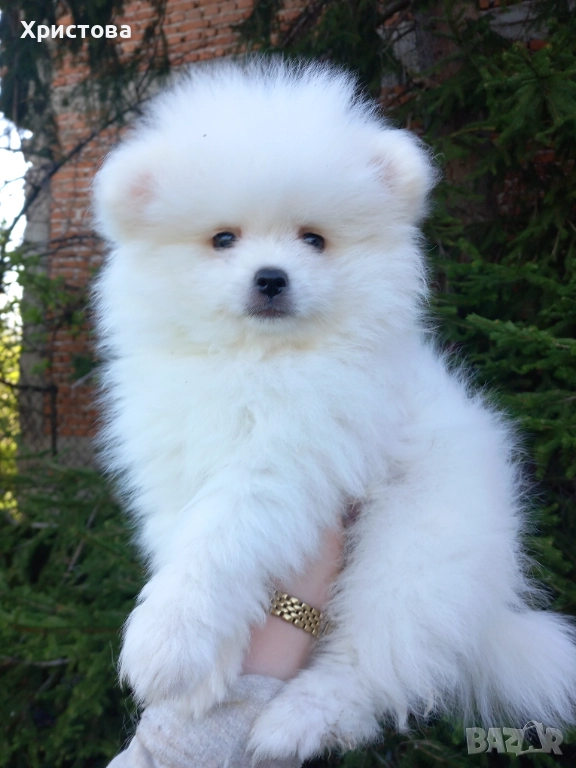 Момче на 2 месеца, снимка 1