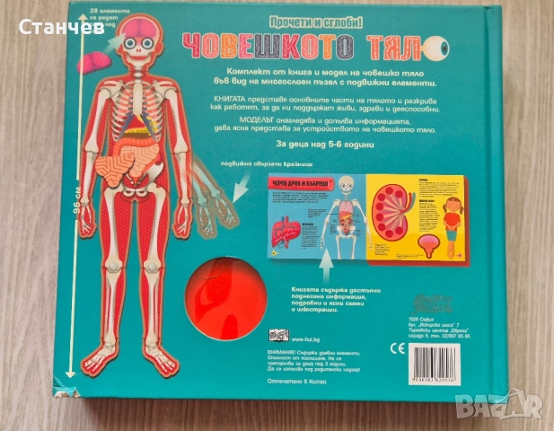 Прочети и сглоби! Човешкото тяло, снимка 5 - Игри и пъзели - 51496902