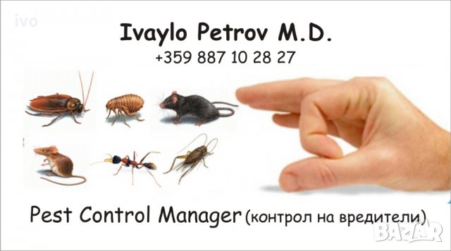 КУКАРАЧА-ХЛЕБАРКИ, гризачи и всякаква гад изтребва до крак!, снимка 2 - Други почистващи услуги - 27862199
