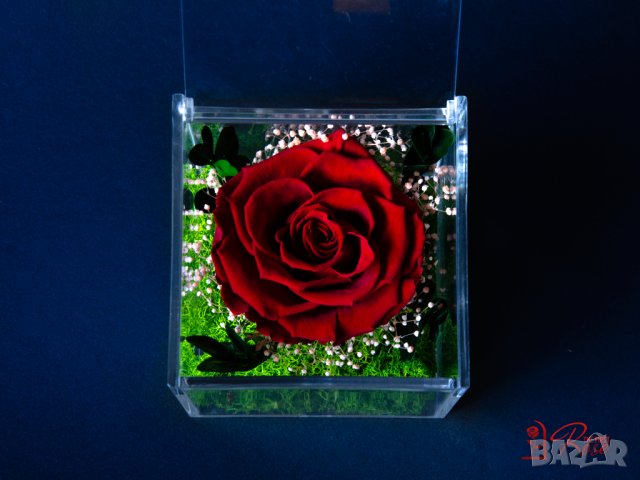 Естествена Вечна Роза в Акрилна Кутия / Уникален Подарък за Рожден Ден / Жива Вечна Роза в Кутия, снимка 4 - Подаръци за жени - 43749115