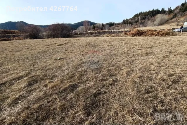 Поземлен имот в Езерово, снимка 10 - Парцели - 50132572