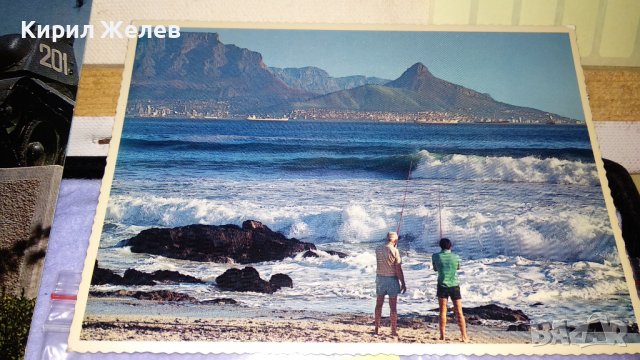 ЛОТ 4 РЕДКИ СТАРИ ПОЩЕНСКИ КАРТИЧКИ ВОЕНЕН ПАМЕТНИК МОРСКА ФАУНА МОРЕ ЕКЗОТИКА 33454, снимка 5 - Филателия - 38777761