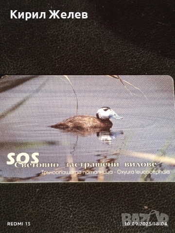 Три фонокарти тема ЖИВОТНИ БРЪМБАР НОСОРОГ,ТРЪНООПАШАТА ПОТАПНИЦА за КОЛЕКЦИОНЕРИ 50869, снимка 9 - Колекции - 51669583