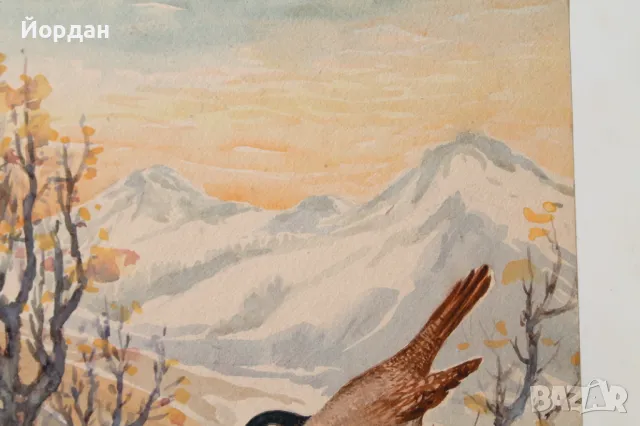 Акварел /автор-Никола Пилчев/ ''Старопланинска черешарка'', снимка 9 - Картини - 49131538