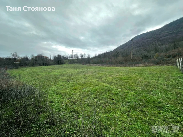 Земеделска земя с. Аспарухово, снимка 5 - Земеделска земя - 40564449