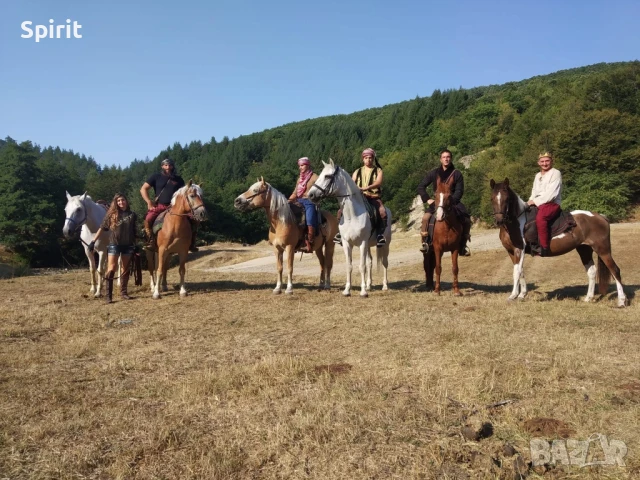 Ездитен кон Аблай Хан, снимка 10 - Коне - 51147186