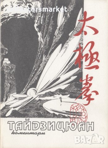 Тайдзицюан. Коментари