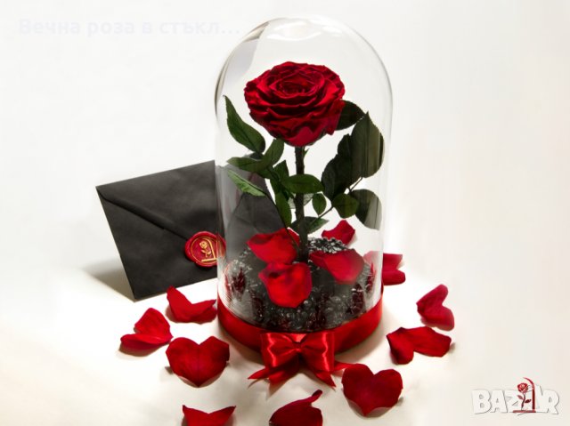 Вечна Роза (ЕСТЕСТВЕНА) в ГОЛЯМА стъкленица / Уникален подарък за рожден ден на жена, снимка 1 - Декорация за дома - 32673595