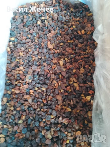 Стафиди подходящи за ракия и други, снимка 1