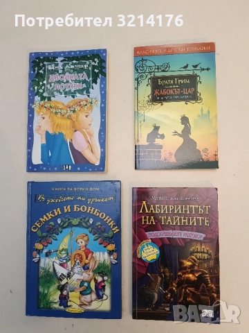 Лабиринтът на тайните. Книга 3: Подслушаният разговор - Матиас фон Борнщед