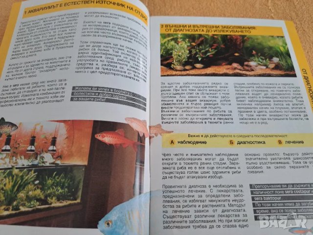 5 справочника за декоративните рибки, снимка 9 - Специализирана литература - 48728395