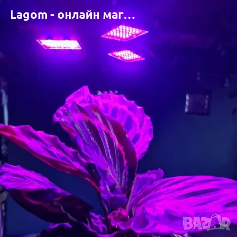 LED лампа за растеж на растения и цветя, 8W, 108 светодиода, пълен спектър, за стайни растения, снимка 7 - Други - 52550089