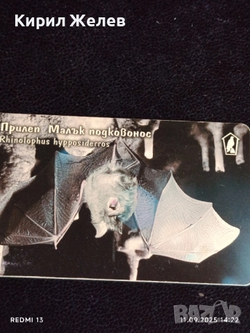 Три фонокарти МОБИКА, БЕТКОМ тема ЖИВОТНИ ПРИЛЕП, ЛЯСТОВИЧКА, БУХАЛ 38400, снимка 10 - Колекции - 51678827