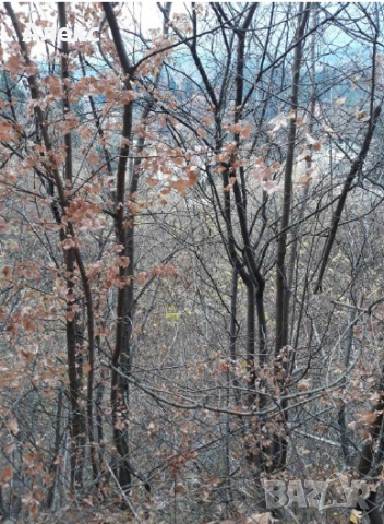 Продава УПИ в кв.Княжево, снимка 5 - Парцели - 44906351