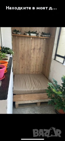 Стая под наем, снимка 4 - Стаи под наем - 53570821