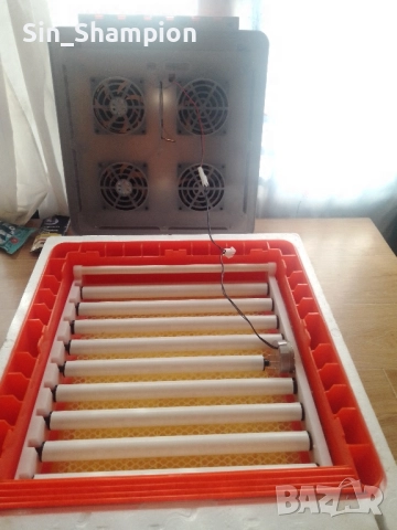 Инкубатор 48 яйца/автоматичен/, снимка 4 - За птици - 52953426