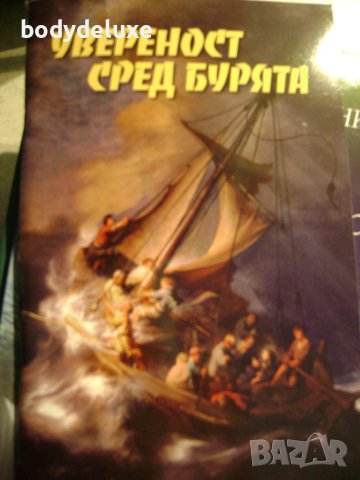 Увереност сред бурята