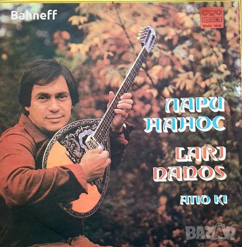 Грамофонни плочи, снимка 2 - Грамофонни плочи - 37005562