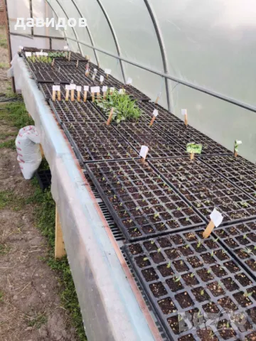 Отопление за оранжерия, разсадник, маса за разсад , парник.Сушилня!, снимка 17 - Стайни растения - 34264703