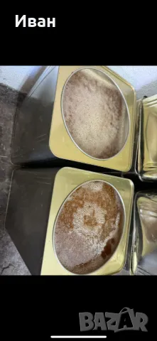  Пчелен мед - натурален. От производител!, снимка 4 - Пчелни продукти - 39165608