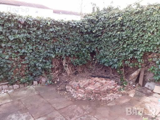 КЪРТЕНЕ,ЧИСТЕНЕ И ИЗВОЗВАНЕ, снимка 7 - Хамалски услуги - 28243886