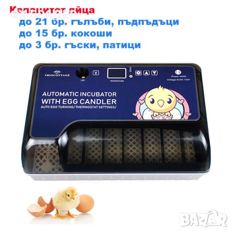 ПРОМОЦИЯ! Автоматичен инкубатор за 12 броя яйца