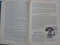 Книга автомобили ЛУаЗ 969М ръководство за ремонт на Руски език 1989 год, снимка 5