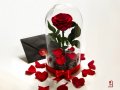 Вечна Роза (ЕСТЕСТВЕНА) в ГОЛЯМА стъкленица / Уникален подарък за рожден ден на жена, снимка 1 - Декорация за дома - 32673595